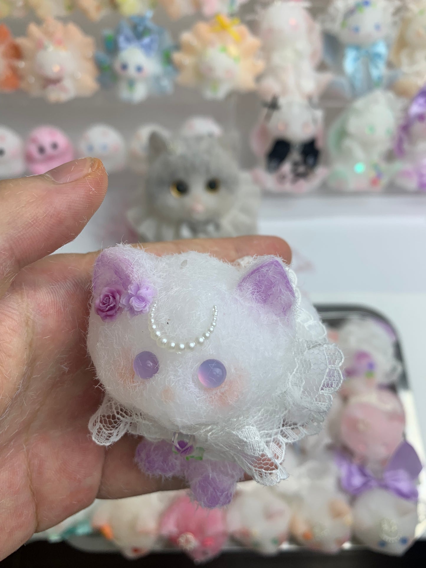 Small cat