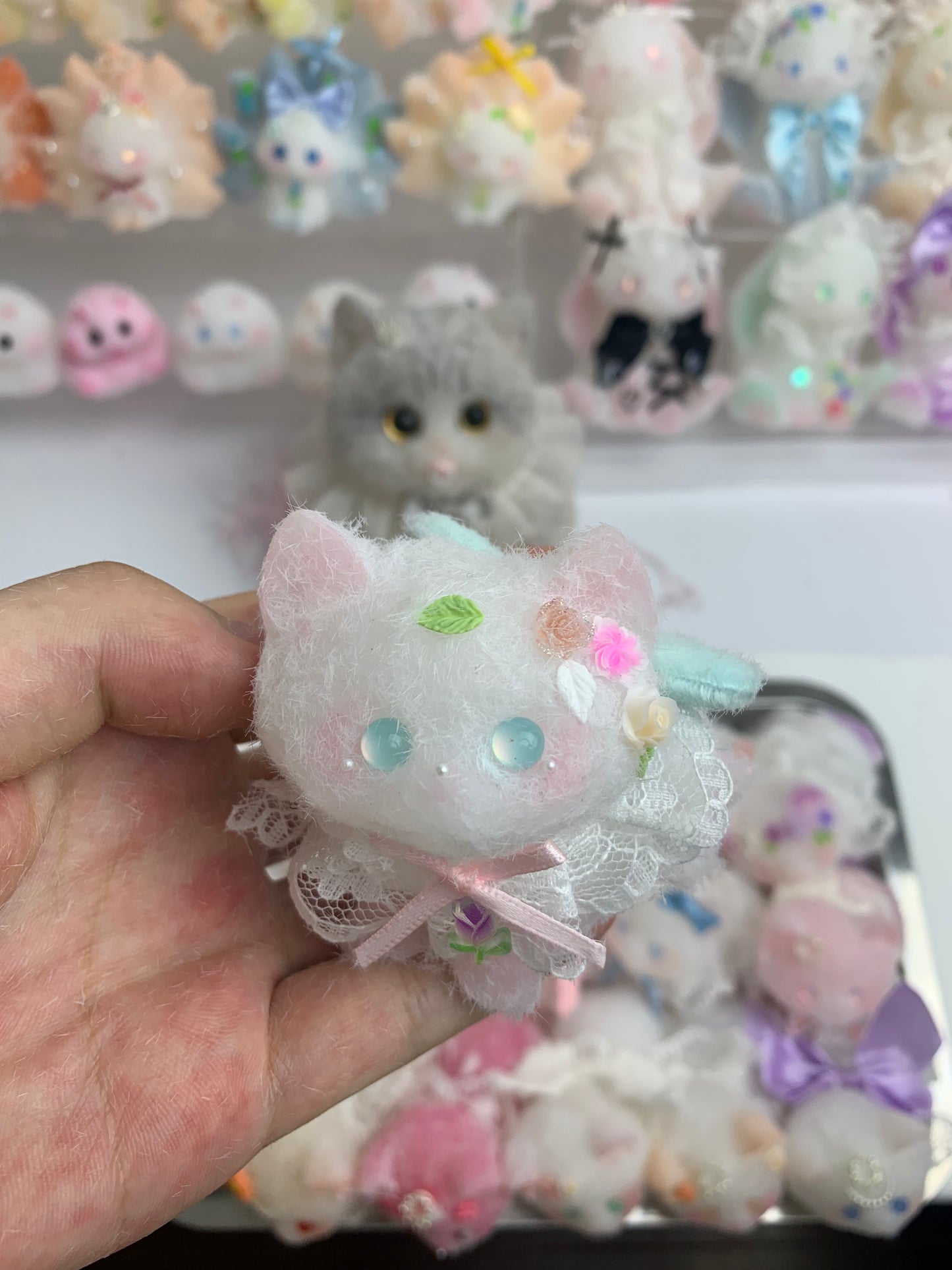 Small cat
