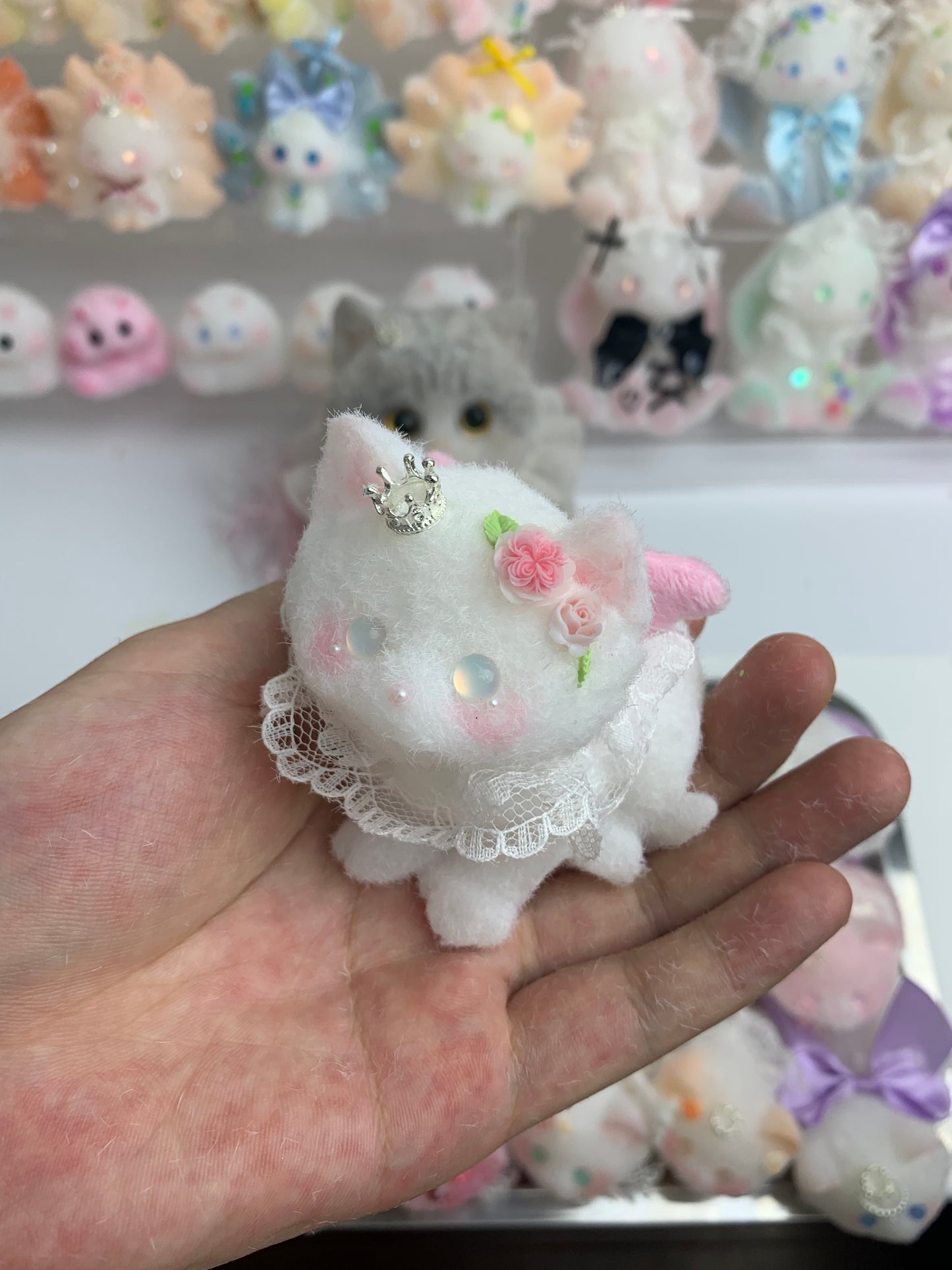 Small cat