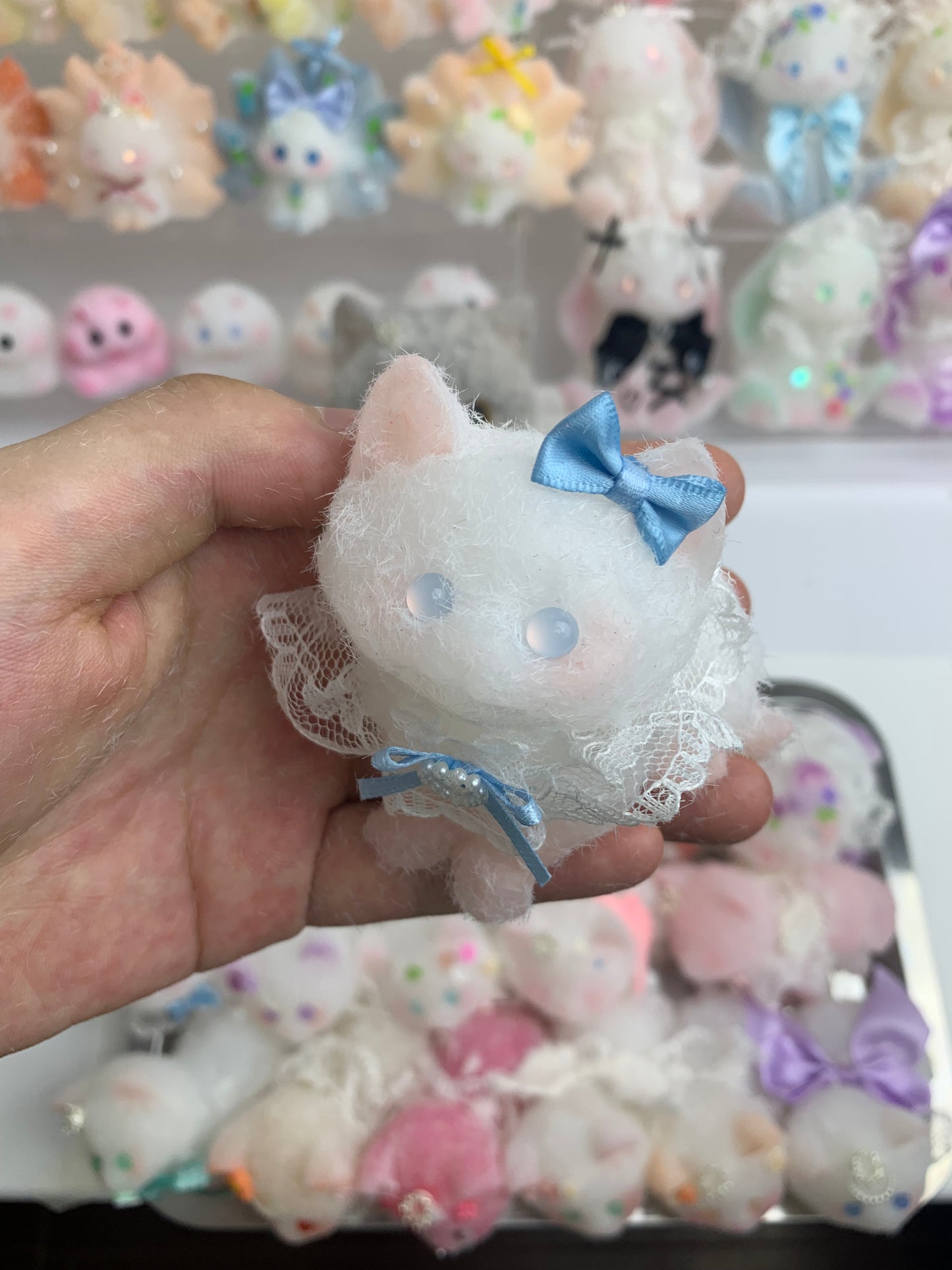 Small cat