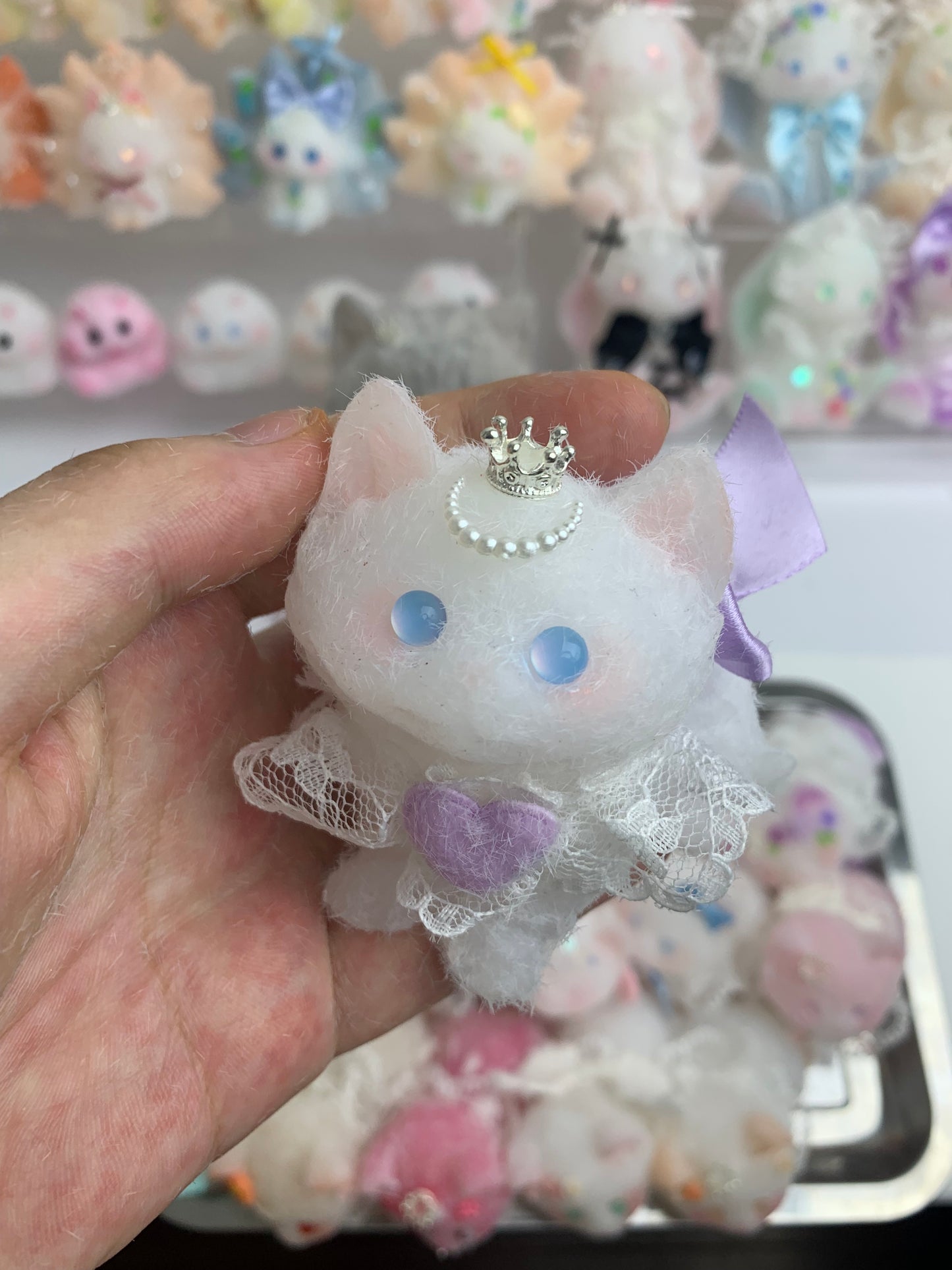 Small cat