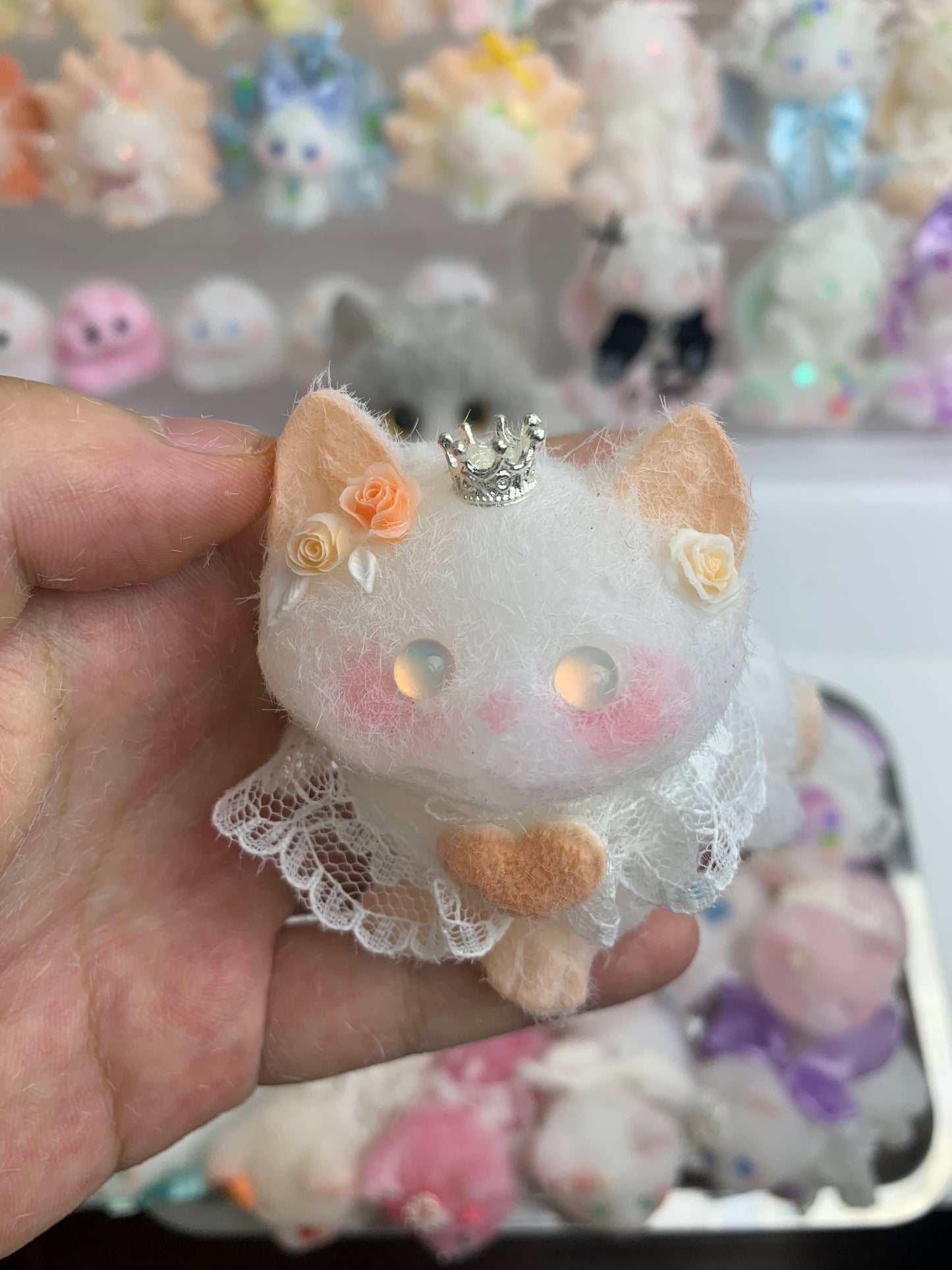 Small cat
