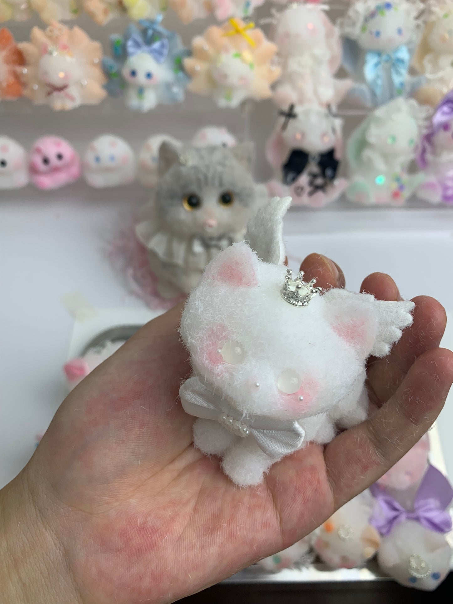 Small cat