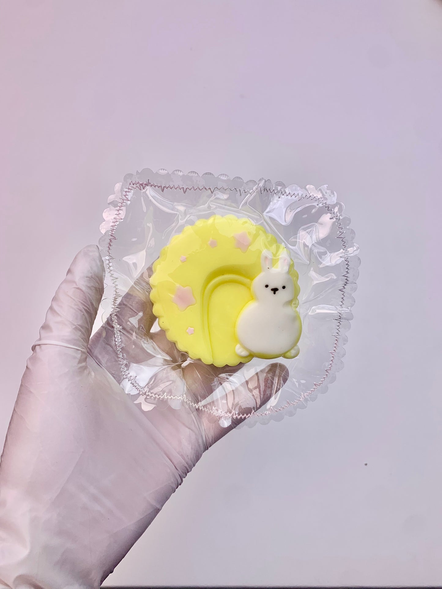 Bunny Moon Taba Squishy