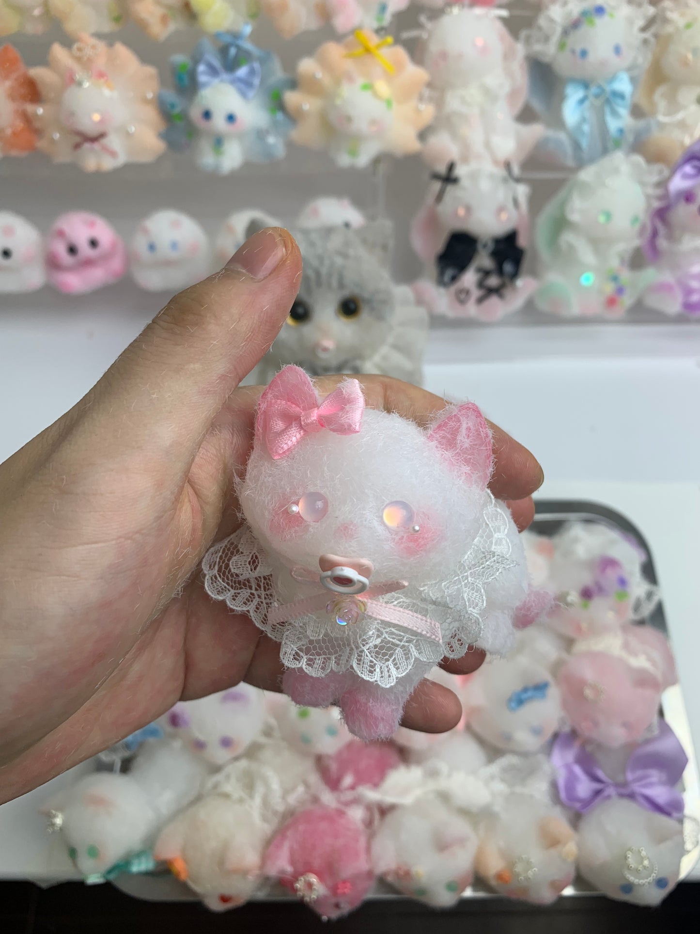 Small cat