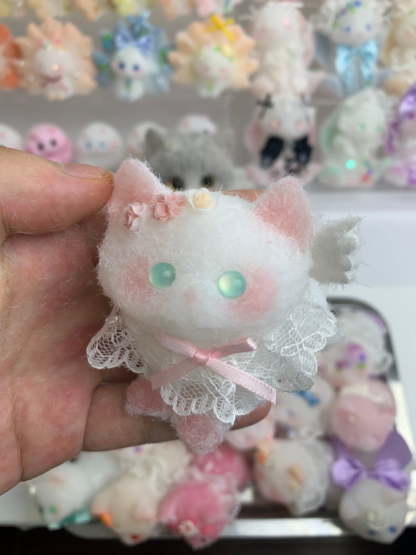 Small cat
