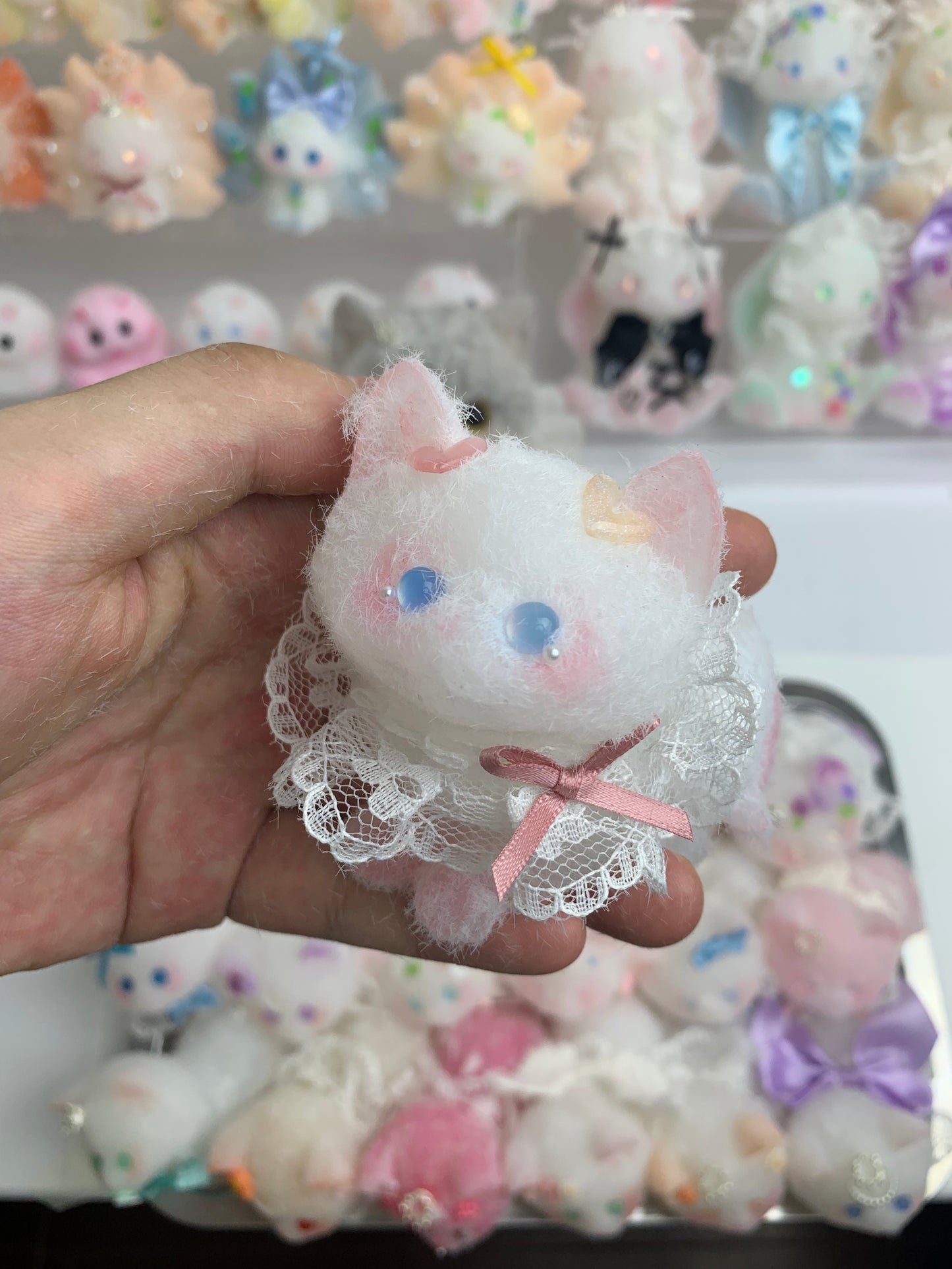 Small cat