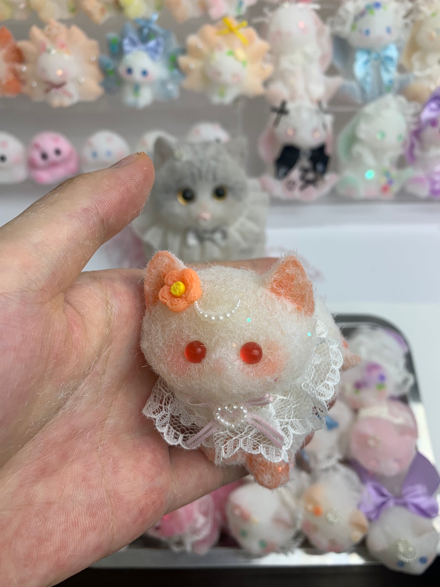 Small cat