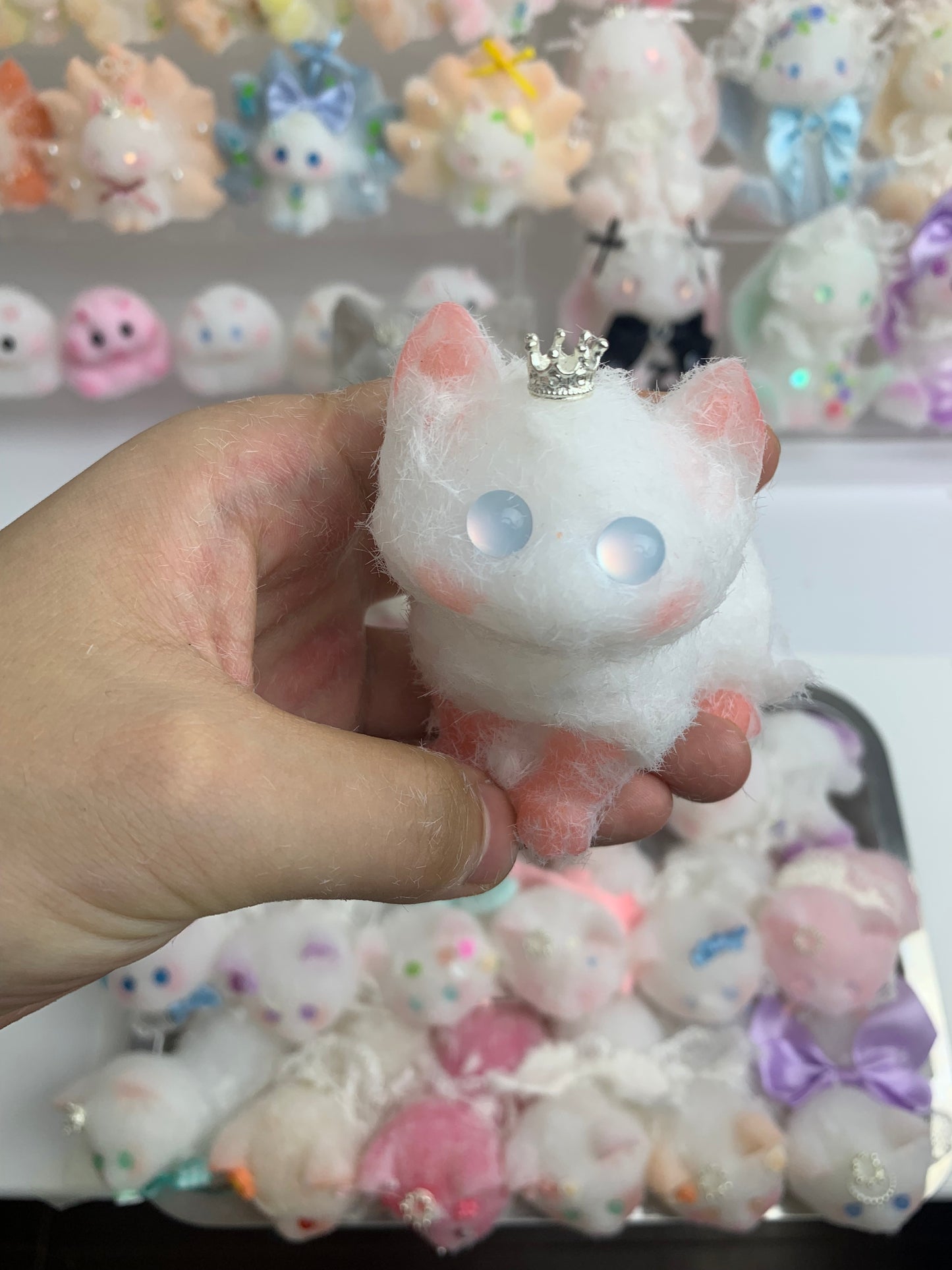 Small cat