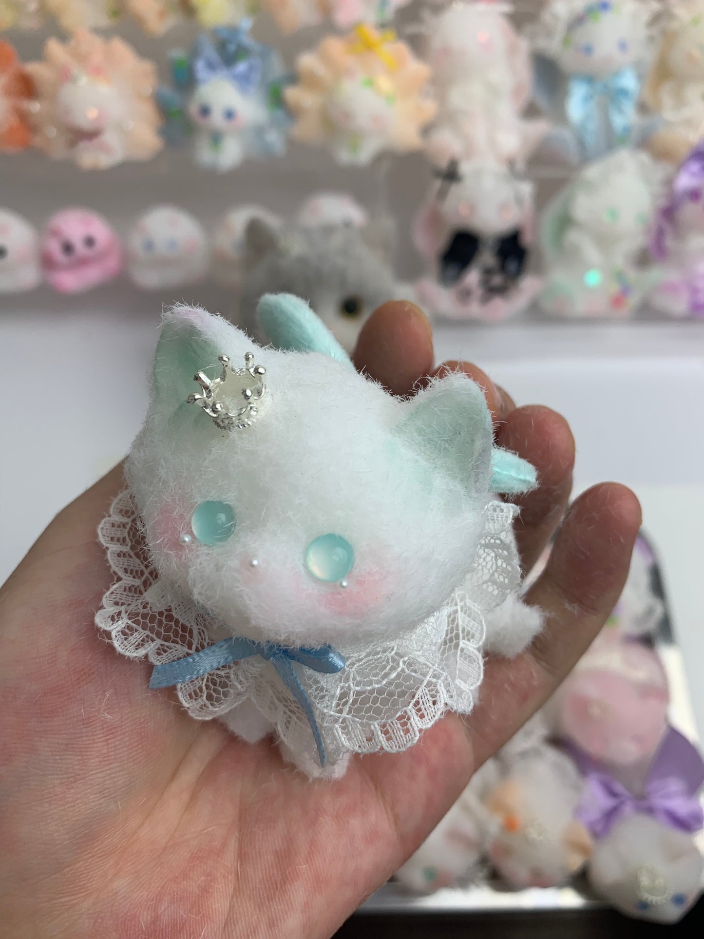Small cat