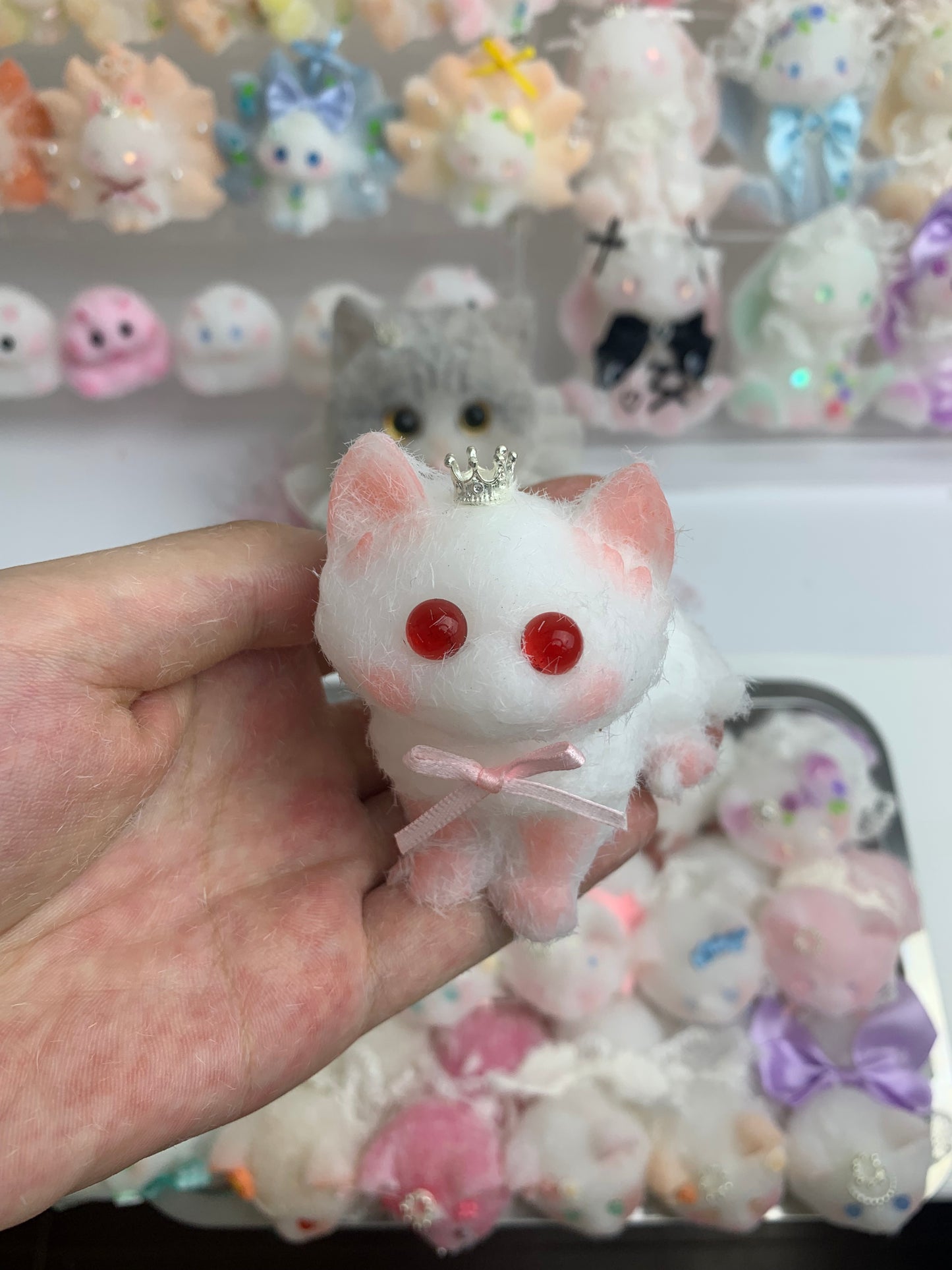 Small cat