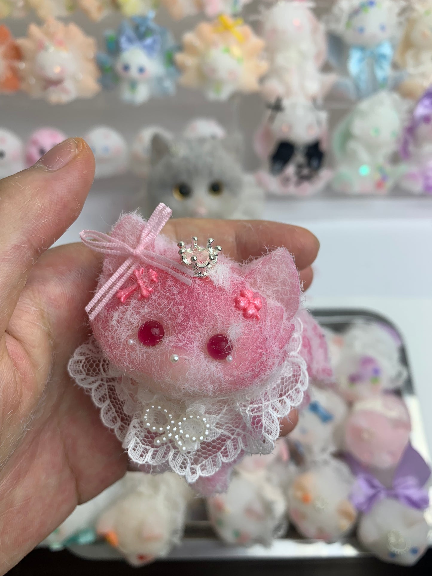 Small cat