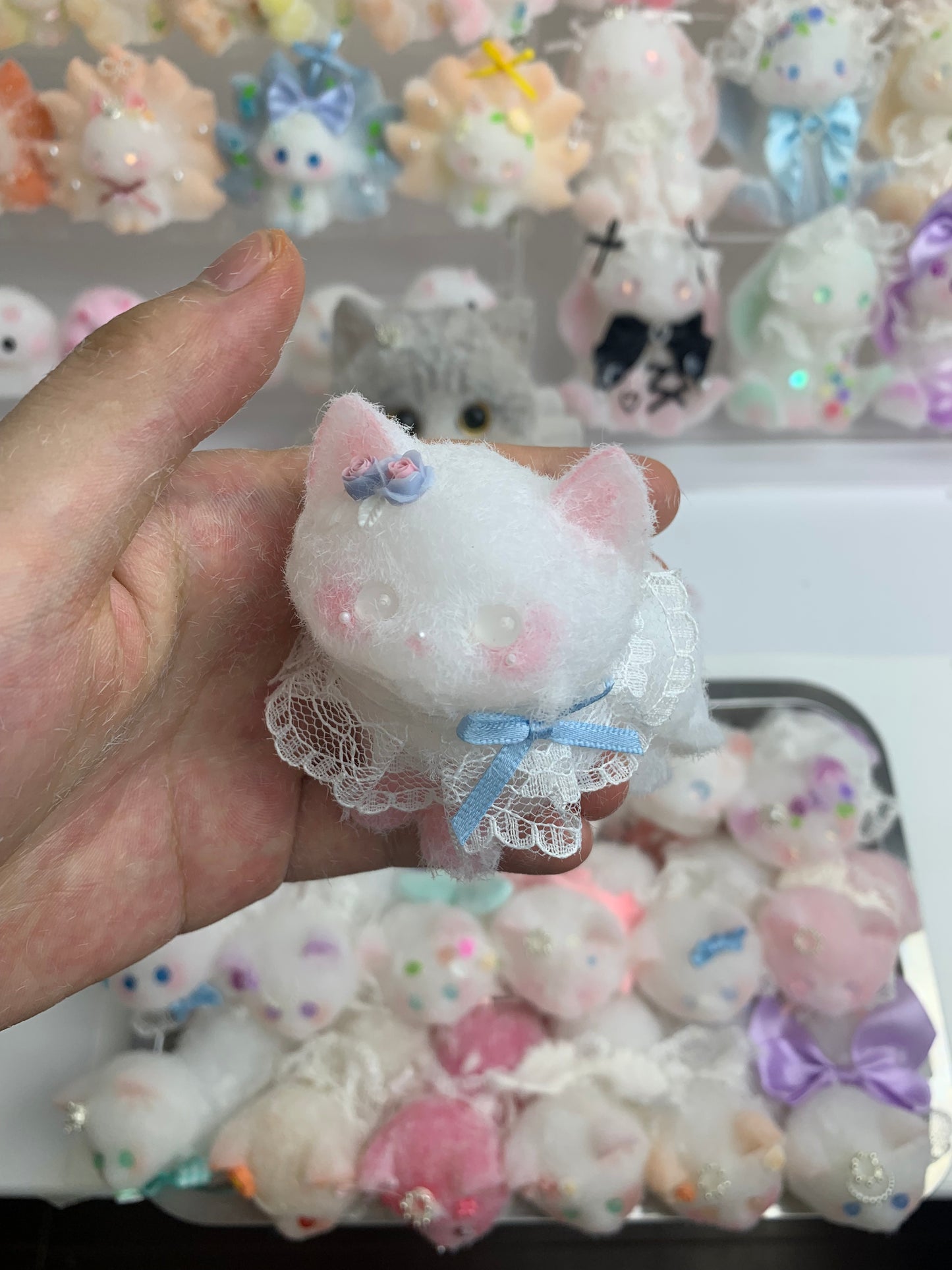 Small cat