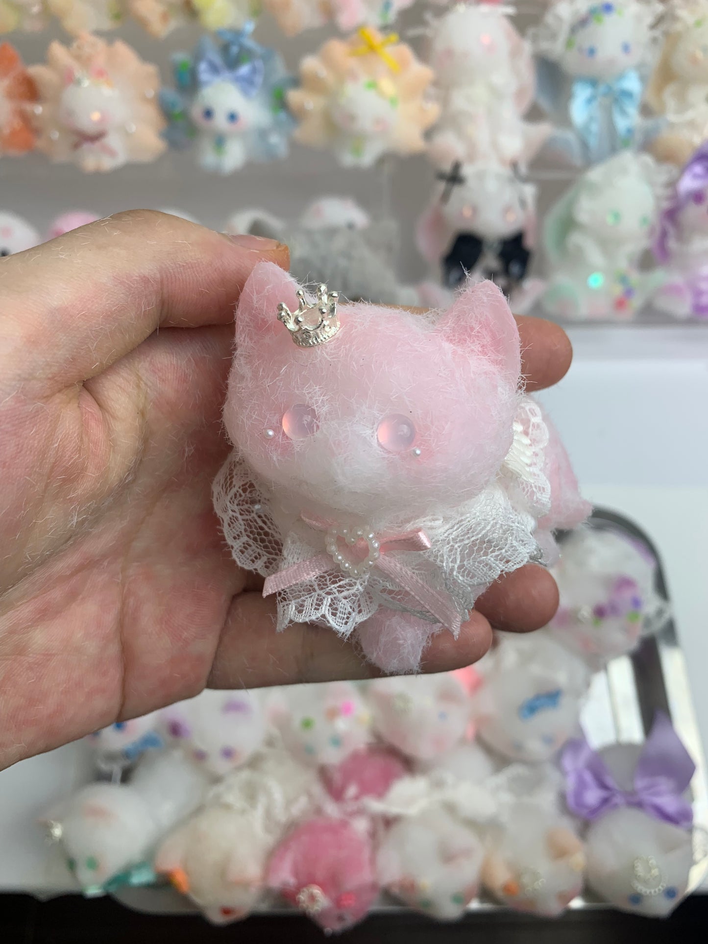 Small cat