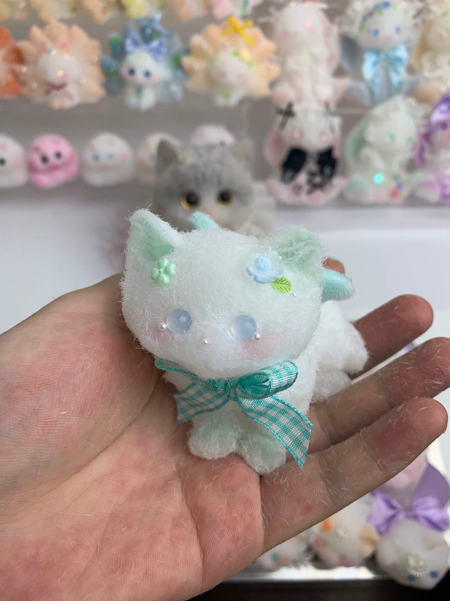 Small cat