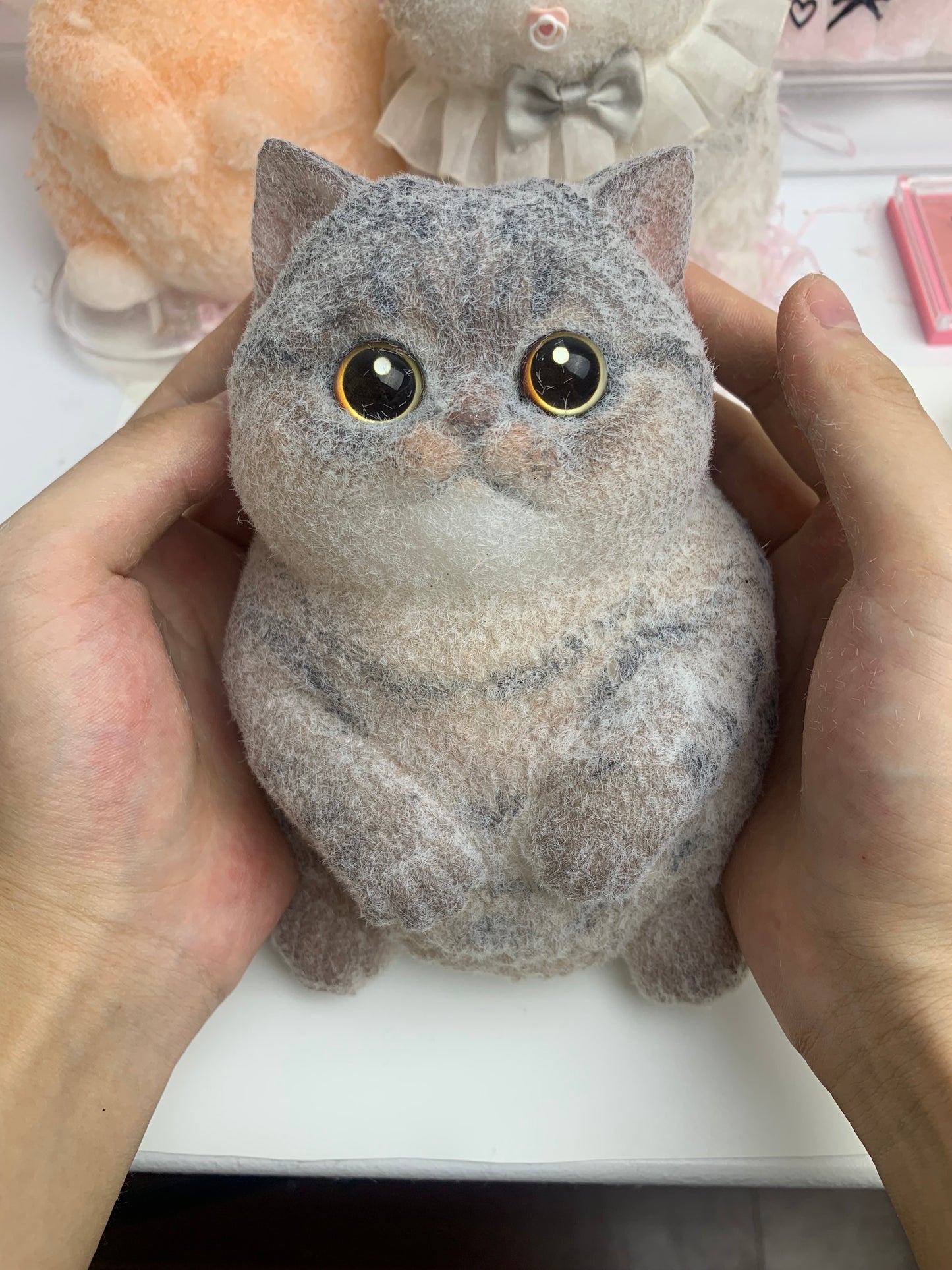 Customized Chubby Cat Squishy