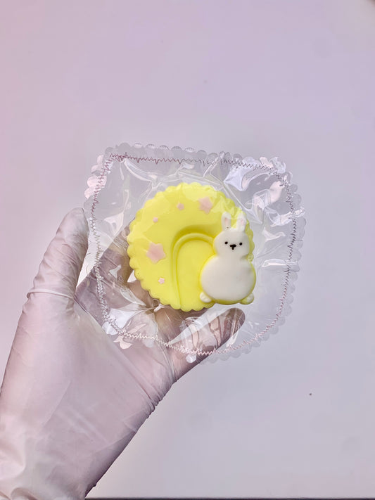 Bunny Moon Taba Squishy